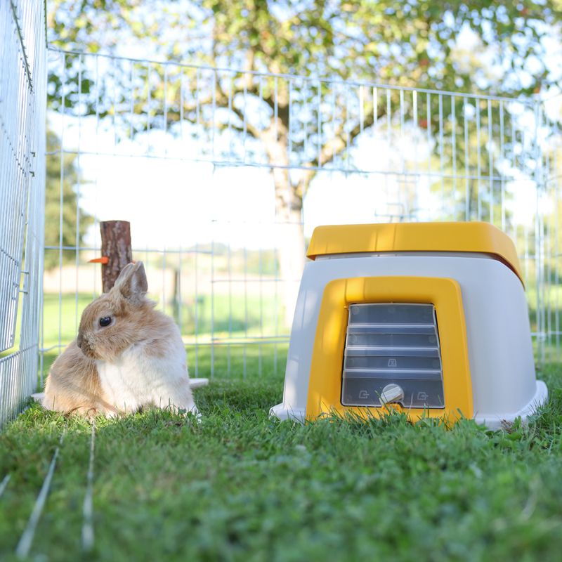 Kerbl Pet Bunny Base Rabbit Hutch 58 x 38.5 x 55 cm (L x W x H)