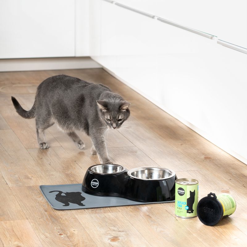 Cosma Dual Feeding Bowl 0.25 litre + 0.75 litre (1 each)