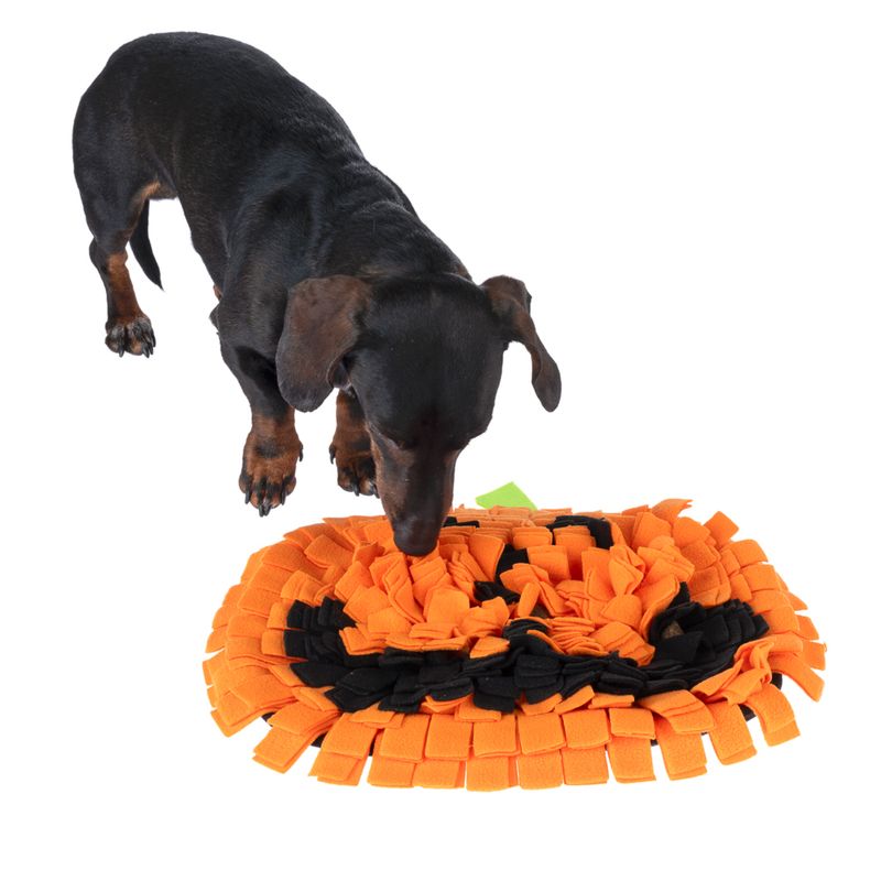 TIAKI Pumpkin Sniffing Mat 40 x 36 x 3cm (L x W x H)
