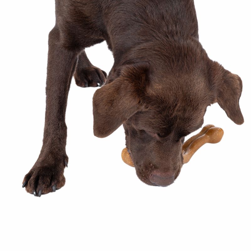 TIAKI Chew Toy with Chicken Flavour 17.5 x 12.8 x 4.7 cm (L x W x H)