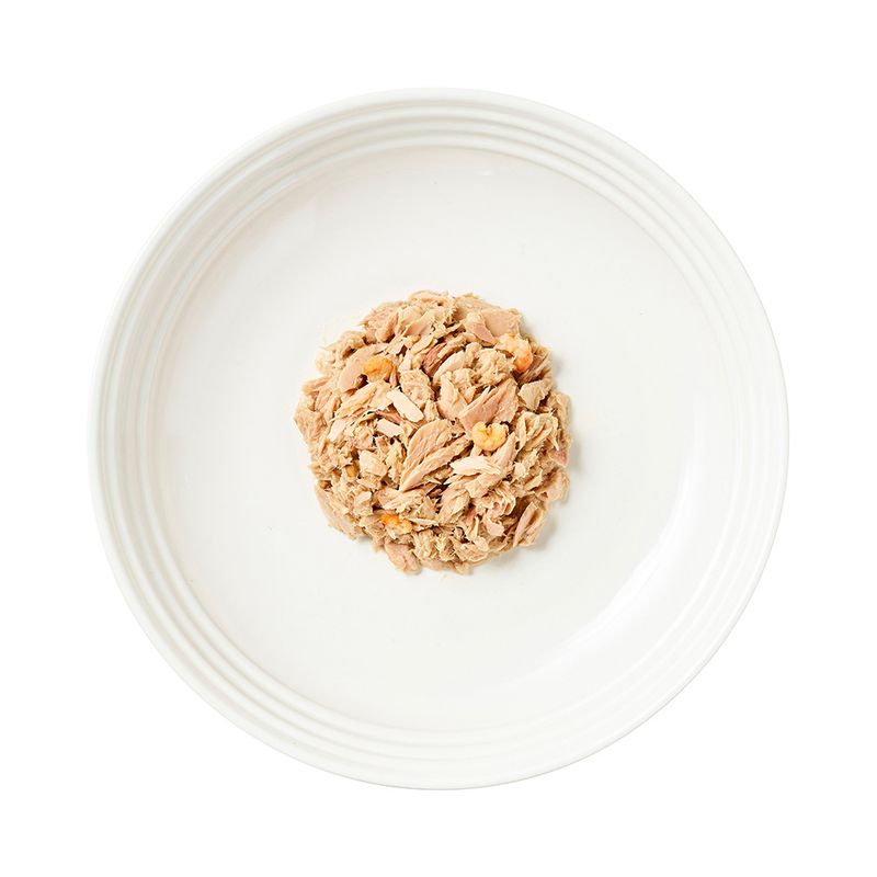 Encore Cat Broth Pouch 16 x 70g Chicken with Brown Rice