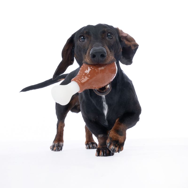 TIAKI Chicken Drumstick Dog Toy 15 x 6.5 x 5.5 cm (L x W x H)