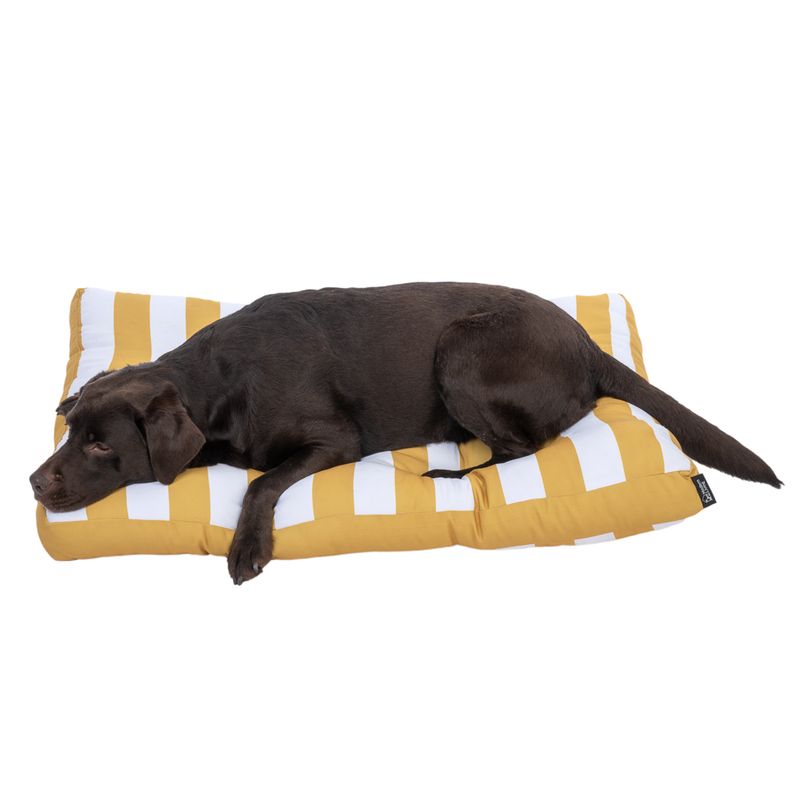 Modern Living Bari Dog Cushion 100 x 70 x 10cm (L x W x H)