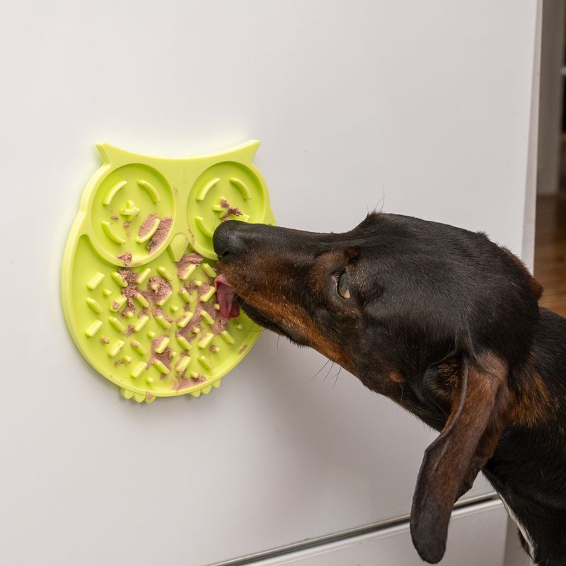 TIAKI Owl Lick Mat 15 x 1.2cm (Diameter x H)