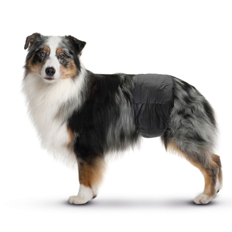 Savic Nappies for Male Dogs Size XS: 20-26cm - 12 nappies