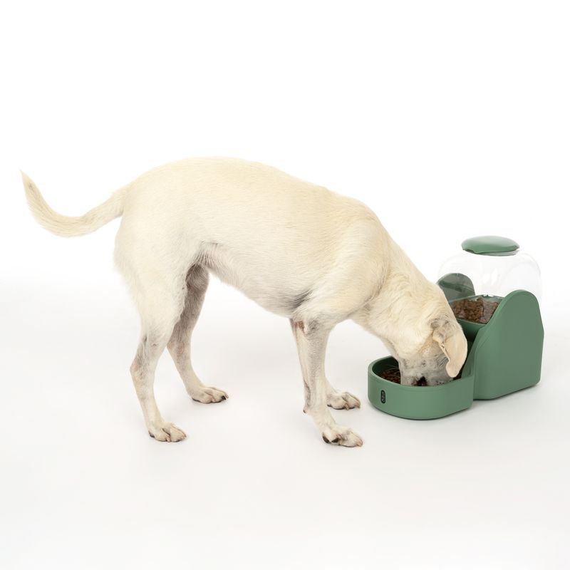 TIAKI Bubble Feeder 3.8 Litres