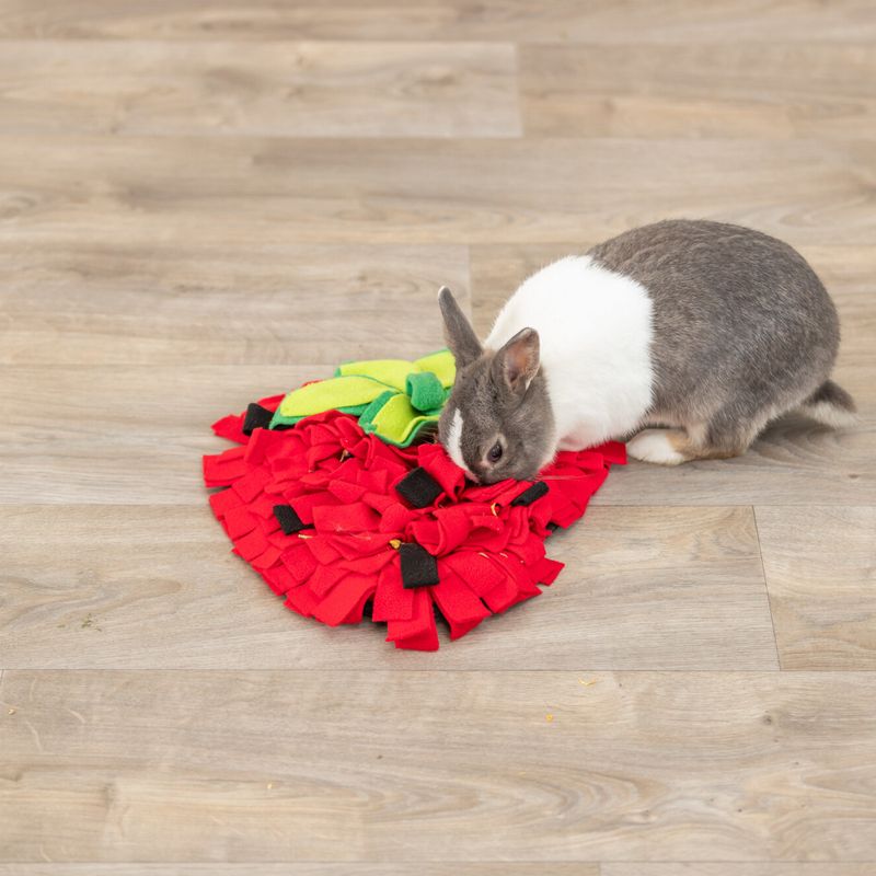 Trixie Strawberry Sniffer Rug 40 x 33cm (L x W)