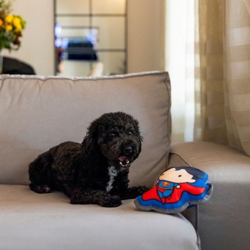 Warner Bros™ DC Superman Squeaky Dog Toy approx. 20 x 17 x 6 cm (L x W x H)