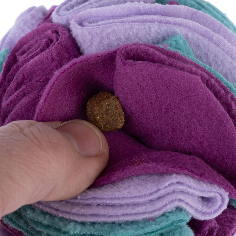 zooplus Basics Sniffer Ball Dog Toy approx. diameter 11cm