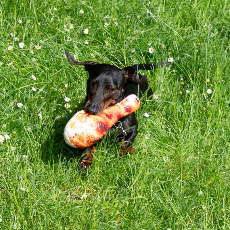 TIAKI Chicken Drumstick Dog Toy 23 x 13.5 x 5 cm (L x W x H)