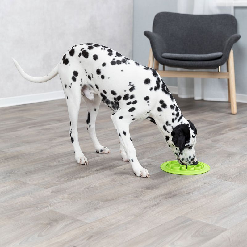 Trixie Slow Feed Foot Mat - Silicone 24cm diameter