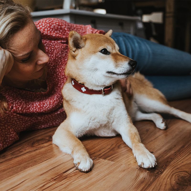 HUNTER Swiss Dog Collar Size 55
