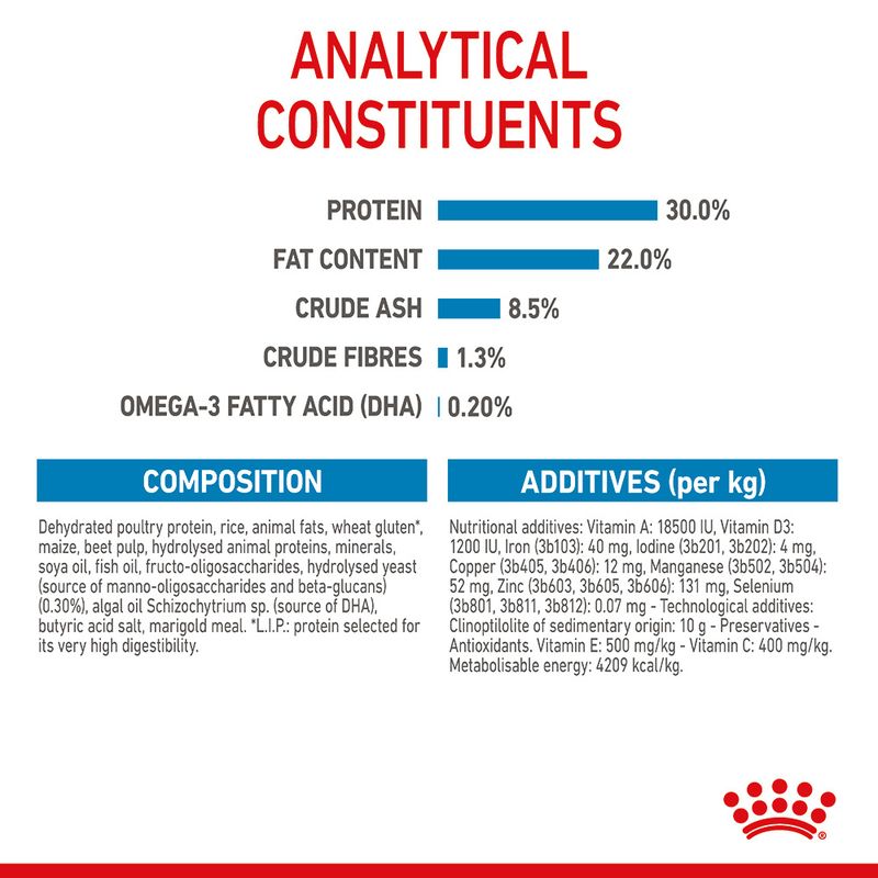 Royal Canin Mini Starter Mother & Babydog 4kg