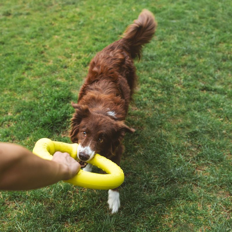 Nomad Tales Bloom Fitness Ring Size S: approx. Ø 18 cm