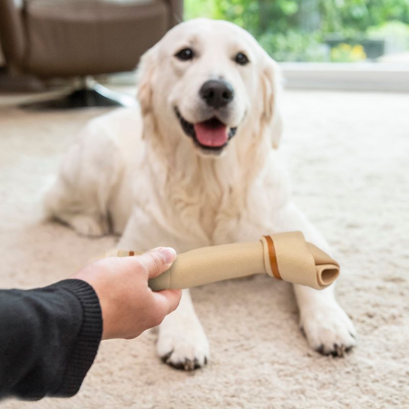 SmartBones Chew Snacks with Chicken for Large Dogs 1 Bone (109g)