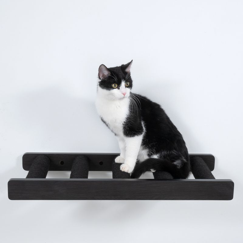 Modern Living San Francisco Scratching Ladder Black