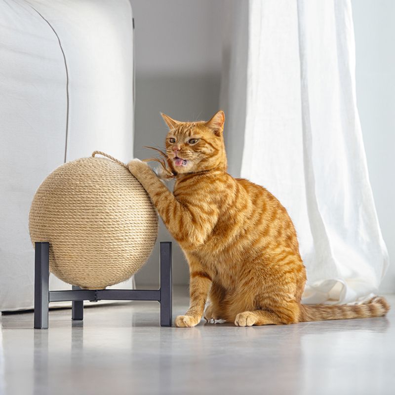 Designed by Lotte Met Tyra Scratching Ball 27 x 33cm (diameter x H)