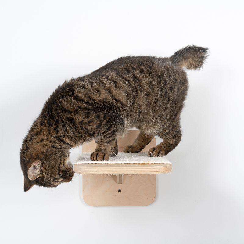 Natural Paradise Dahlia Sisal Platform Nature