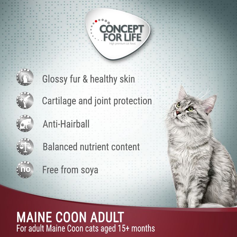 Concept for Life Maine Coon Adult - in Ragout 12 x 85g