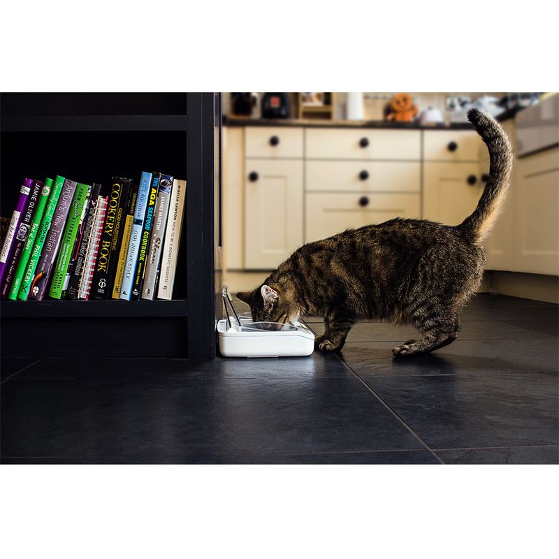 SureFeed Sealed Pet Bowl Airtight Food Bowl 400ml