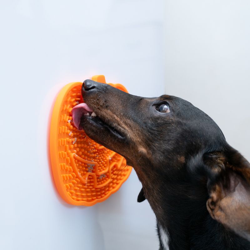 TIAKI Pumpkin Silicone Lick Mat 23 x 16.5 x 1cm (L x W x H)