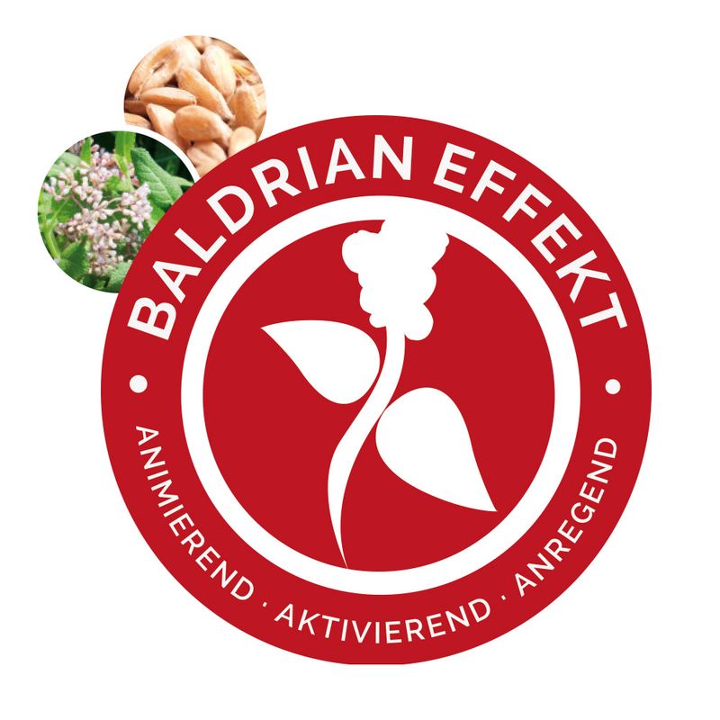 Aumüller Cat Play Pillow Leo Lion 1 piece