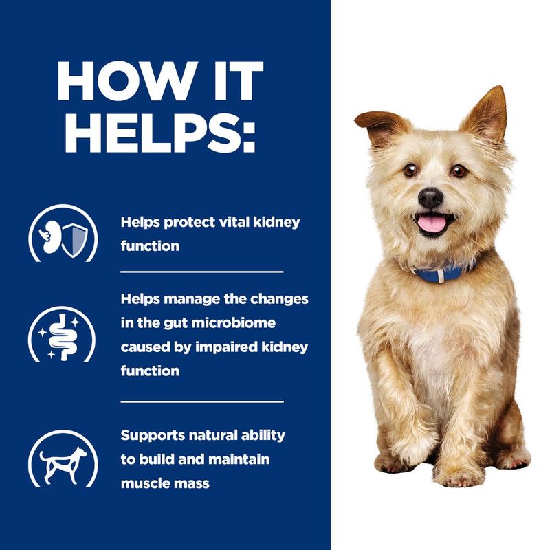 Hill's Prescription Diet Canine k/d Kidney Care - Original 12 x 180g