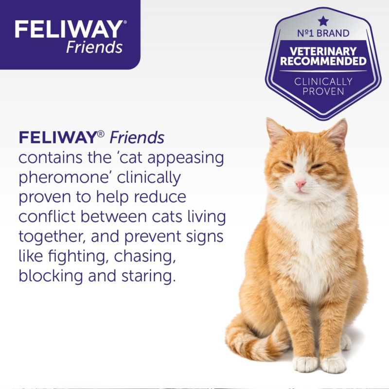 Feliway® Friends 48ml Refill Vial Only