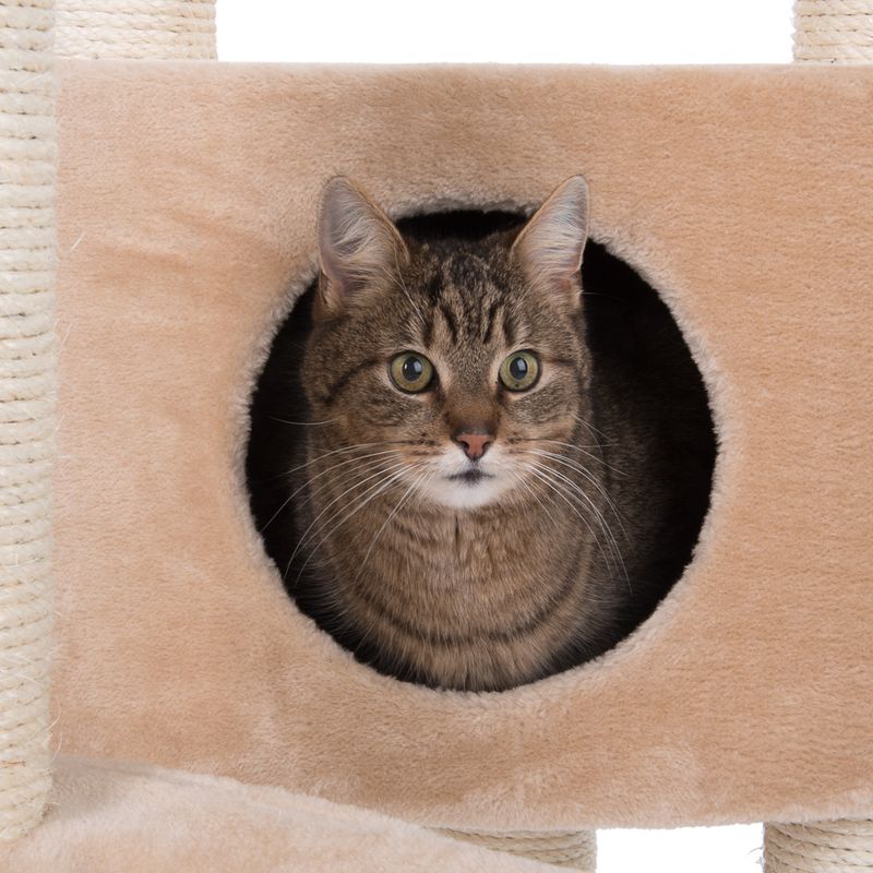Atlas Cat Tree Beige