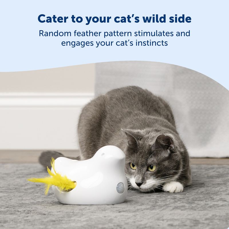 PetSafe® Peek-a-Bird Electronic Cat Toy 1 Toy