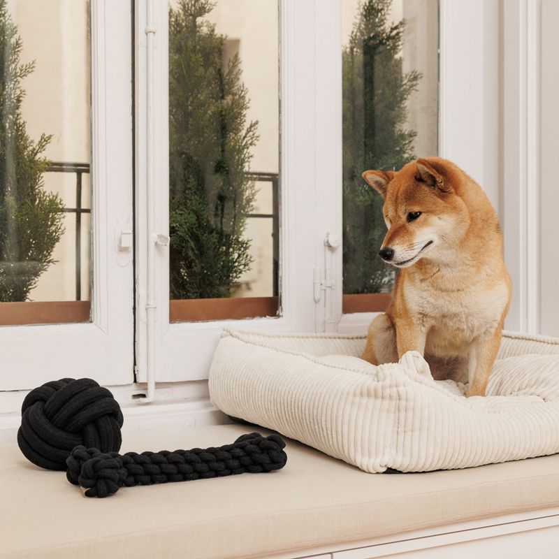 Modern Living Papua Rope Bone 30cm (L)