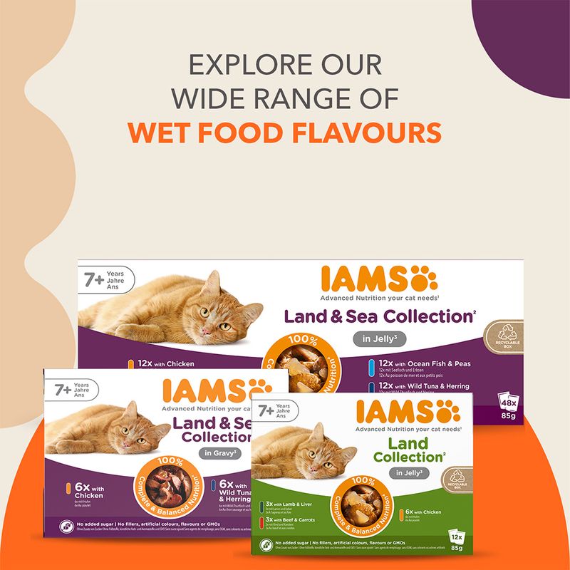IAMS Advanced Nutrition Senior 7+ Land & Sea Collection in Jelly 48 x 85g