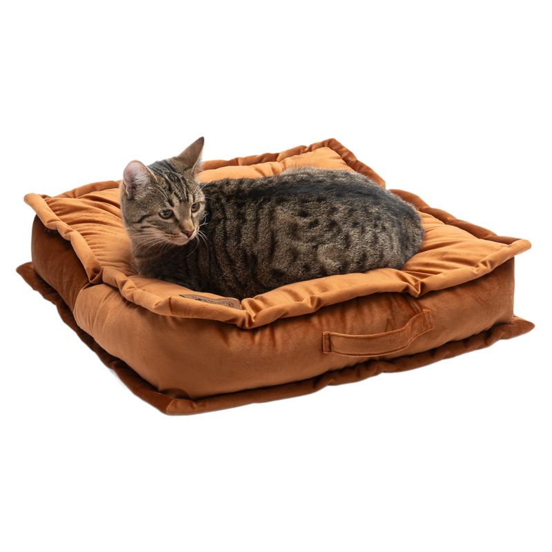 Modern Living Marrakech Cushion 50 x 50 x 10 cm (L x W x H)