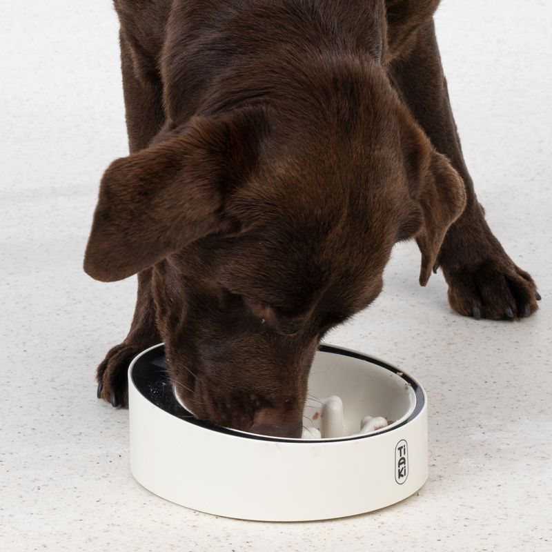 TIAKI Slow Feeder Smart Bowl with Scales 1 Bowl