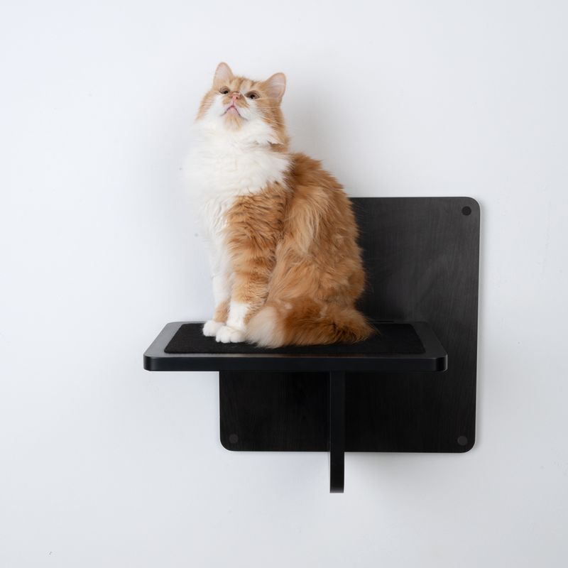 Modern Living Platform San Francisco Black