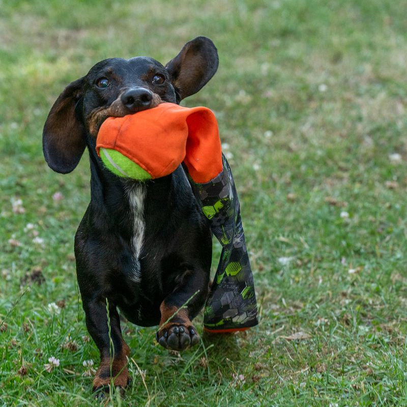 TIAKI Dog Toy Throwing Ball with Catching Tail approx. diameter 8 x (L) 85 cm