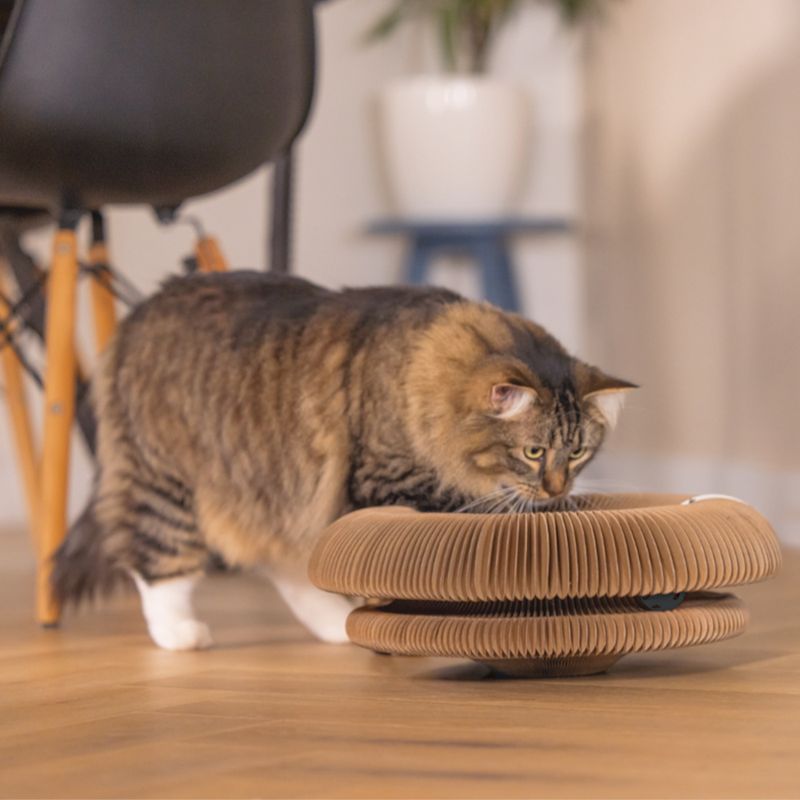 Beeztees Scratching Toy Siep 38 x 10cm (W x H)