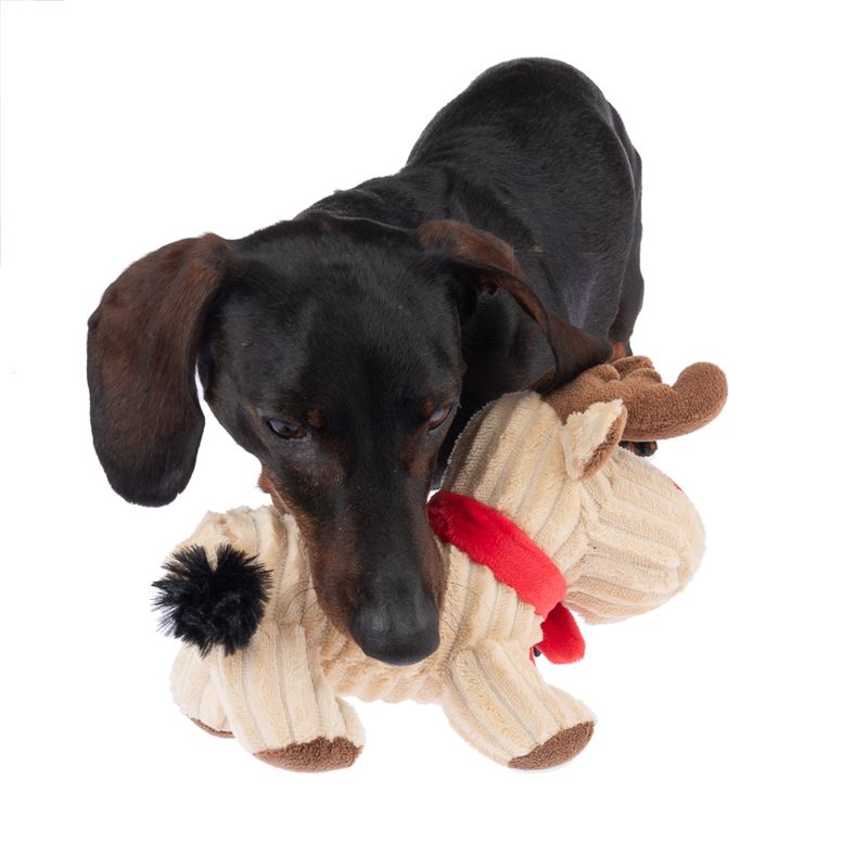 TIAKI Rudolph Dog Toy 1 Toy