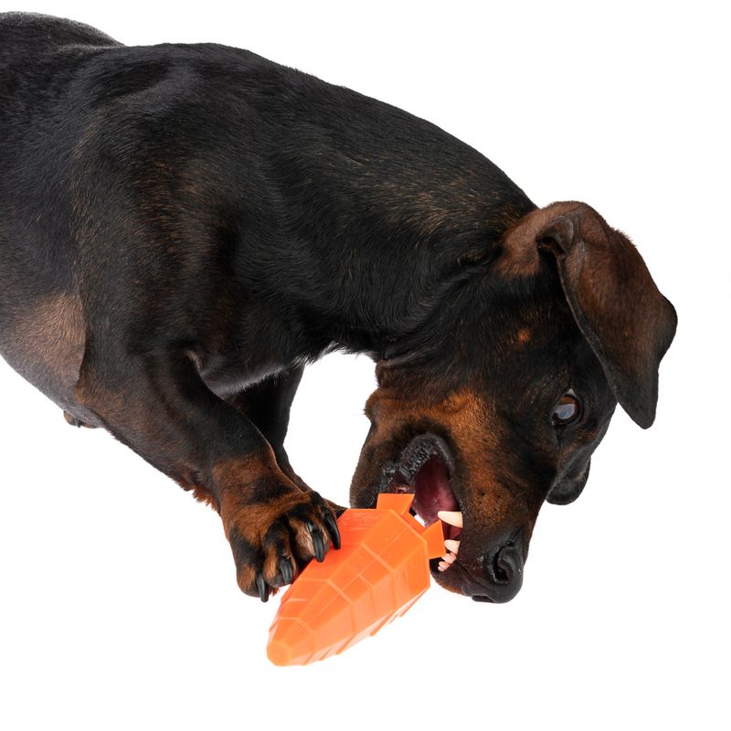 TIAKI Sniffing Toy Carrot L 14.2 x W 4.5 x H 4.5 cm