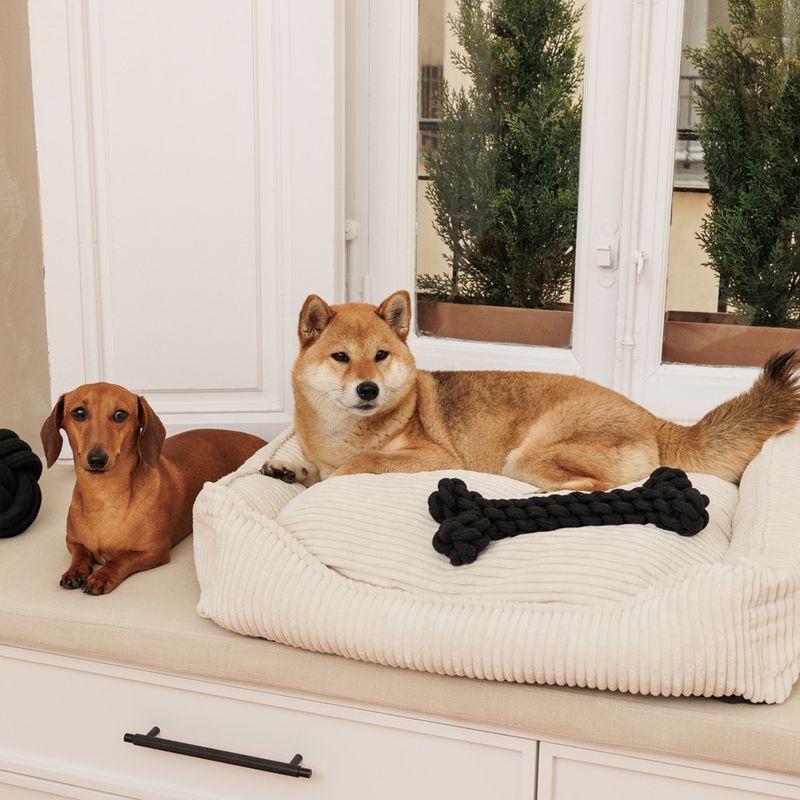 Modern Living Dog Bed Helena L: 65 x W x H 60 x 18 cm, beige