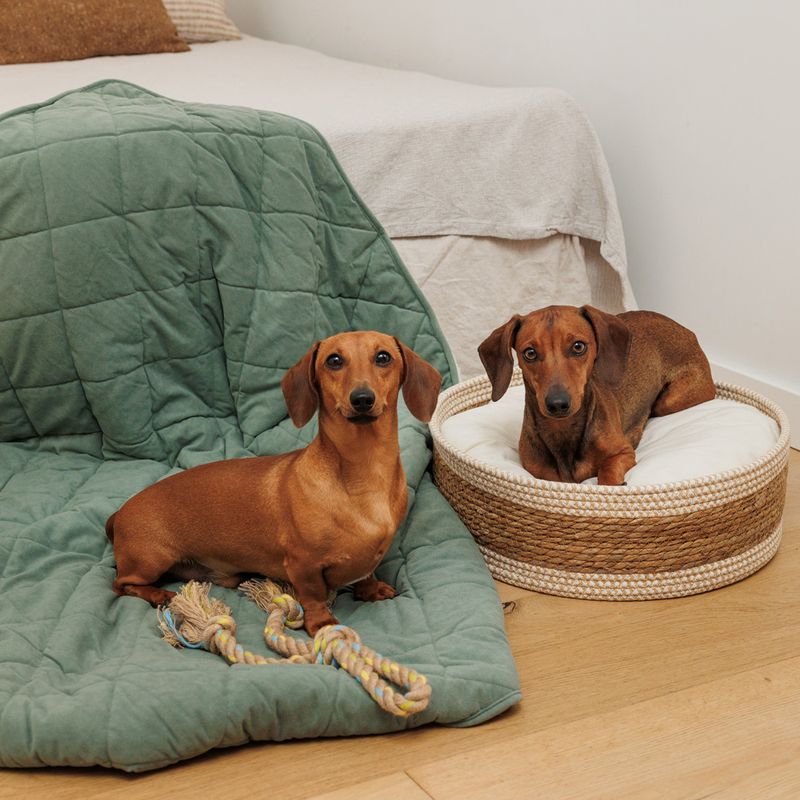 Modern Living Dog Blanket Victoria L 140 x W 125 cm