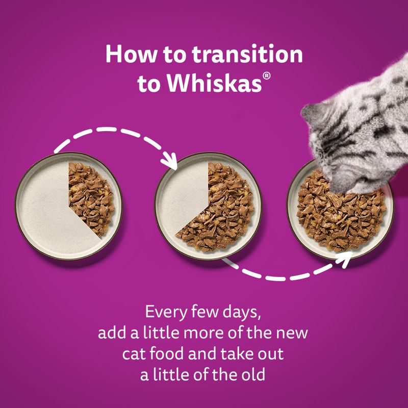 Whiskas Senior Pouches 12 x 85g 11+ Poultry Selection in Jelly