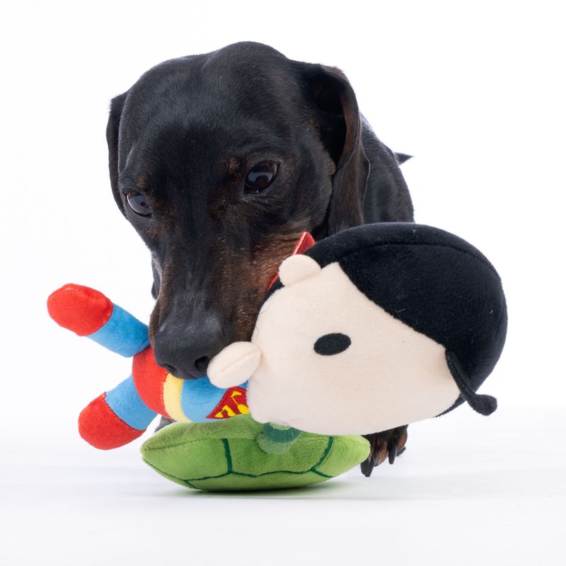 Warner Bros™ DC Superman Rope Dog Toy 22 x 13cm (L x W)