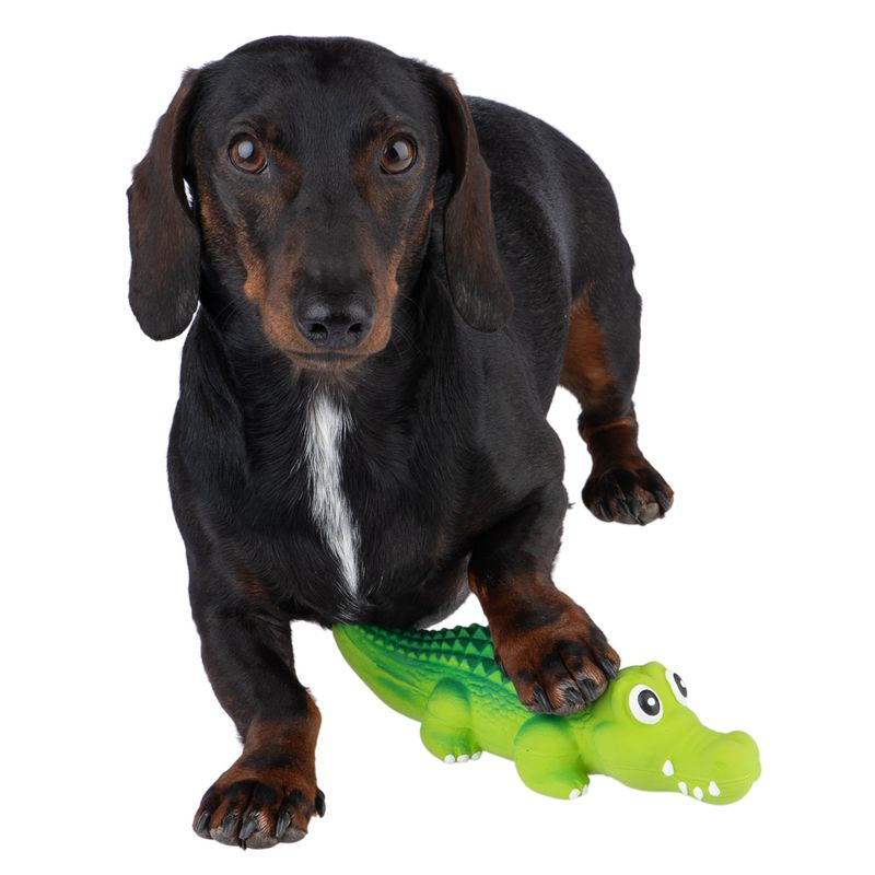 Dog Toy Latex Crocodylus approx. L 20 x W 6 x H 5 cm