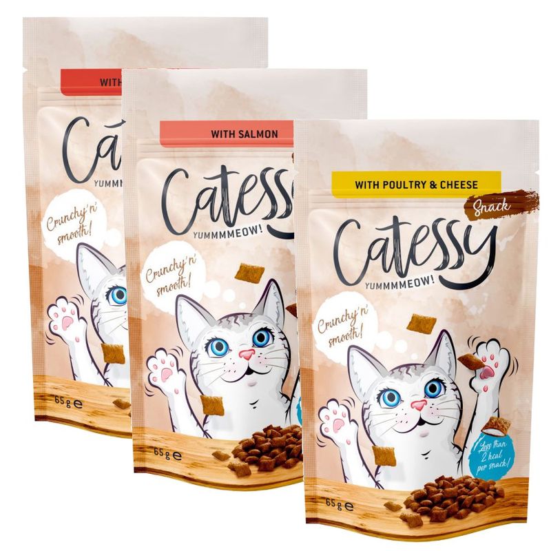 Catessy Crunchy Snacks Mixed Trial Pack 3 x 65g 3 Varieties