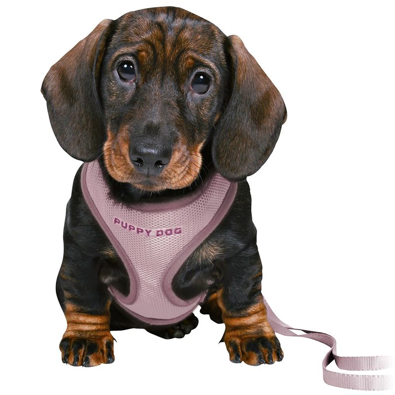 Trixie Junior Soft Puppy Harness with Lead Light Grey