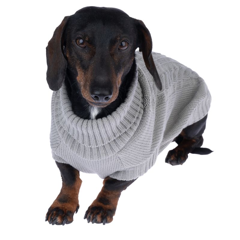 zooplus Basics Grey Dog Jumper approx. 35cm Back Length