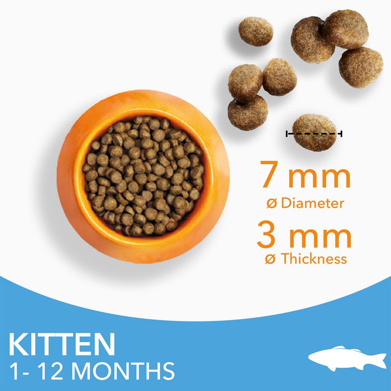 IAMS Advanced Nutrition Kitten with Ocean Fish 10kg