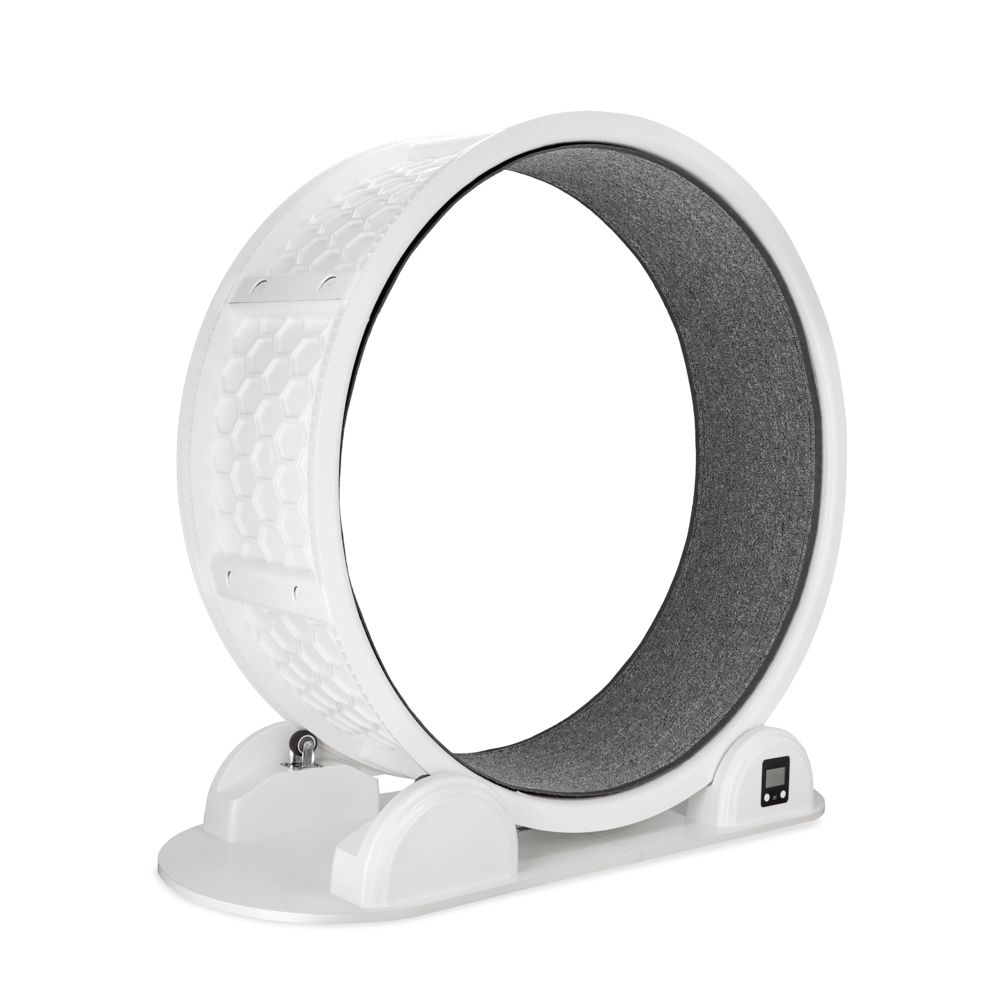 Modern Living Singapore Cat Exercise Wheel 1 Exercise Wheel