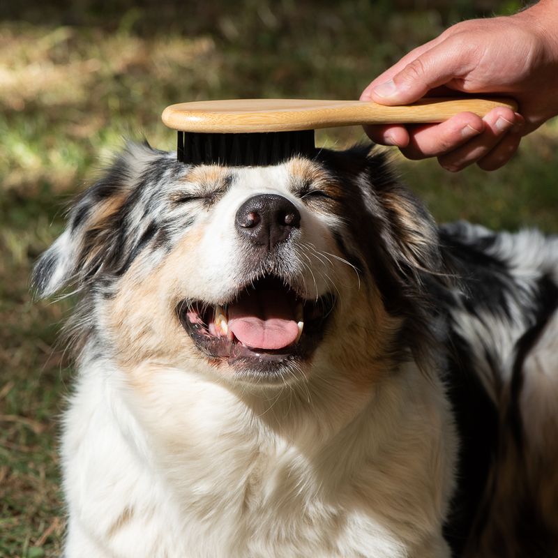 kooa Bamboo Grooming Brush L 22 x W 6cm